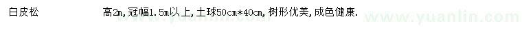 求購2米白皮松