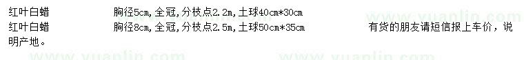 求購胸徑5、8公分紅葉白蠟