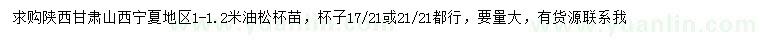 求購1-1.2米油松
