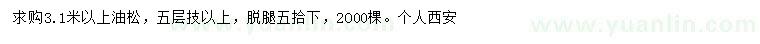 求購(gòu)3.1米以上油松