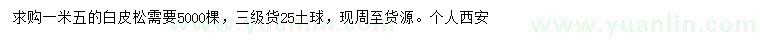 求購(gòu)1.5米白皮松