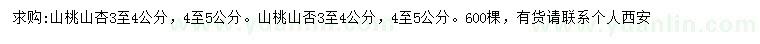 求購3-4公分、4-5公分山桃、山杏