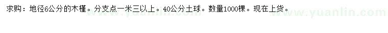 求購地徑6公分木槿