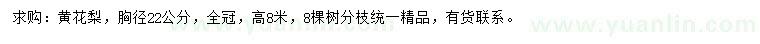 求購胸徑22公分黃花梨