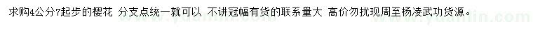 求購4-7公分櫻花