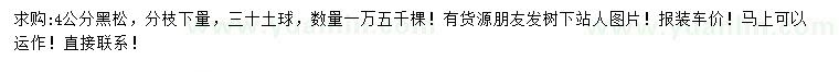 求購4公分黑松