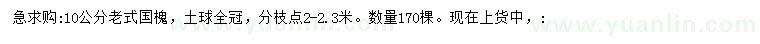 求購10公分老國槐