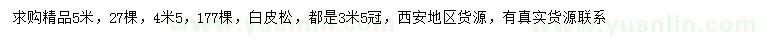 求購精品4.5、5米白皮松