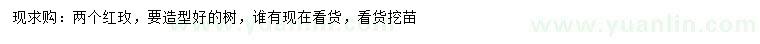 求購造型紅梅