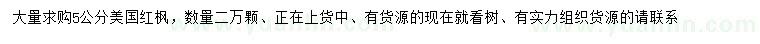 求購5公分美國紅楓