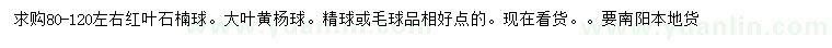 求購80-120公分左右紅葉石楠球、大葉黃楊球
