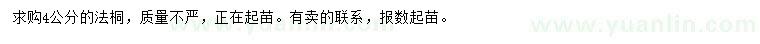 求購4公分法桐