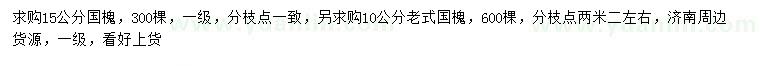 求購(gòu)15公分國(guó)槐、10公分老式國(guó)槐