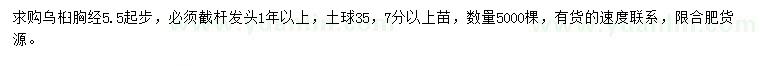 求購(gòu)胸徑5.5公分起步烏桕