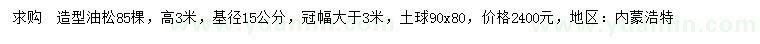 求購高3米造型油松
