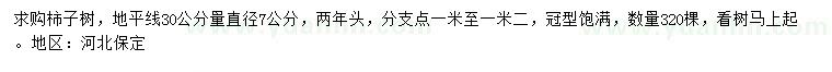 求購地平線30公分量直徑7公分柿子樹