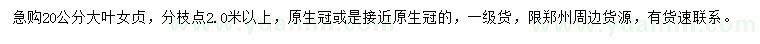 求購20公分大葉女貞