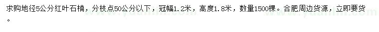 求購(gòu)地徑5公分紅葉石楠