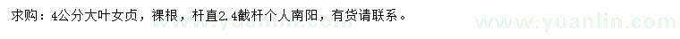 求購4公分大葉女貞