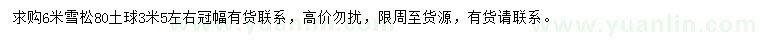 求購6米雪松