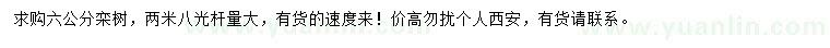 求購6公分欒樹