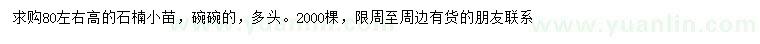 求購(gòu)高80公分石楠苗