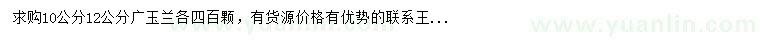 求購10、12公分廣玉蘭