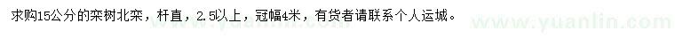 求購15公分欒樹