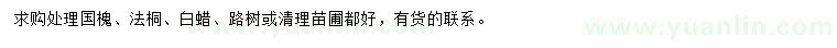 求購國槐、法桐、白蠟