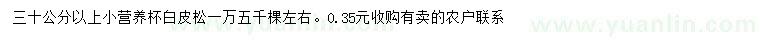 求購30公分以上白皮松