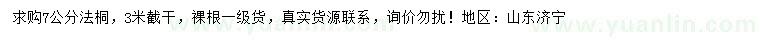 求購7公分法桐