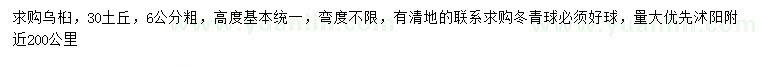 求購6公分烏桕