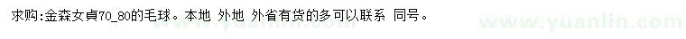 求購(gòu)70-80公分金森女貞
