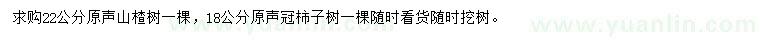 求購22公分山楂樹、18公分柿子樹