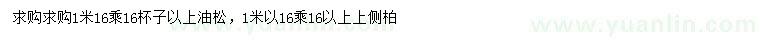 求購1米油松、側(cè)柏