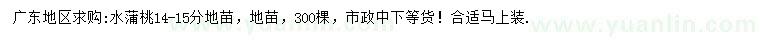 求購14-15公分水蒲桃