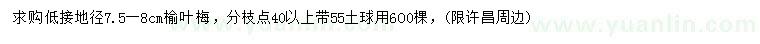求購(gòu)地徑7.5-8公分榆葉梅