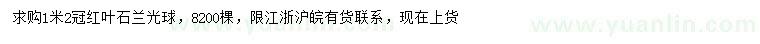 求購冠幅1.2米紅葉石楠球