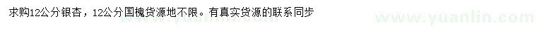 求購12公分銀杏、國槐
