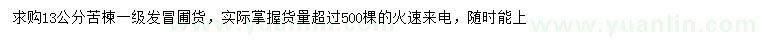求購13公分苦楝