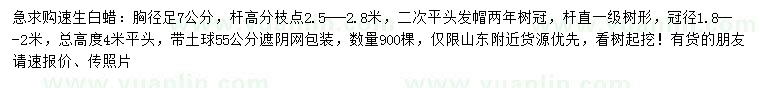 求購胸徑7公分速生白蠟