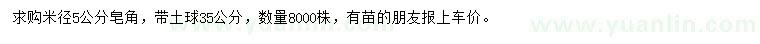 求購米徑5公分皂角