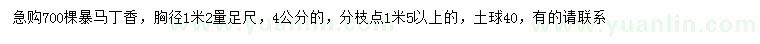 求購1.2米量4公分暴馬丁香