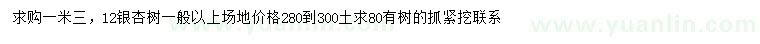 求購1.3米量12公分銀杏