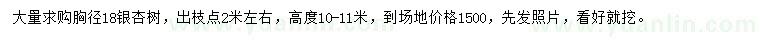求購胸徑18公分銀杏
