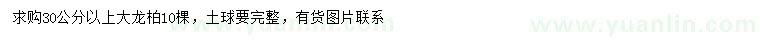 求購30公分以上大龍柏