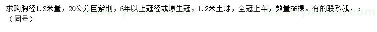 求購(gòu)1.3米量20公分巨紫荊