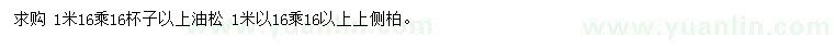 求購1米油松 、側(cè)柏