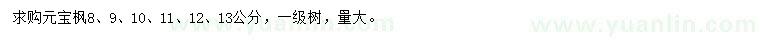 求購8、9、10、11、12、13公分元寶楓