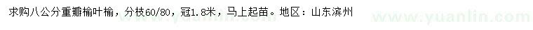 求購8公分榆葉榆
